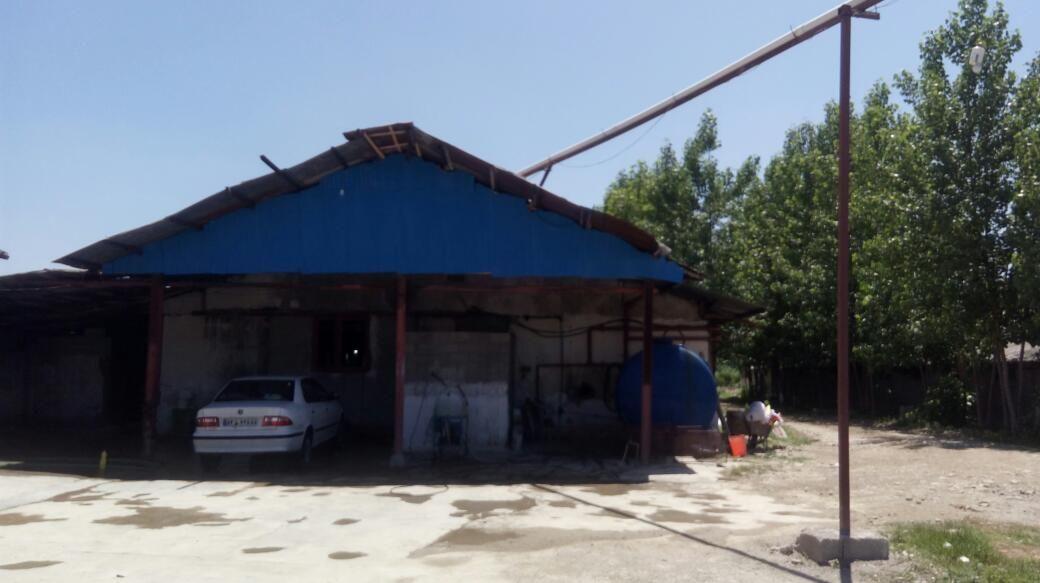 مرغداری رحمانی