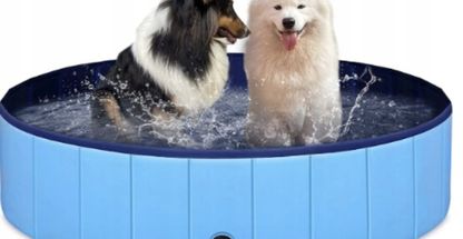 کلینیک دامپزشکی و پت شاپ حامی