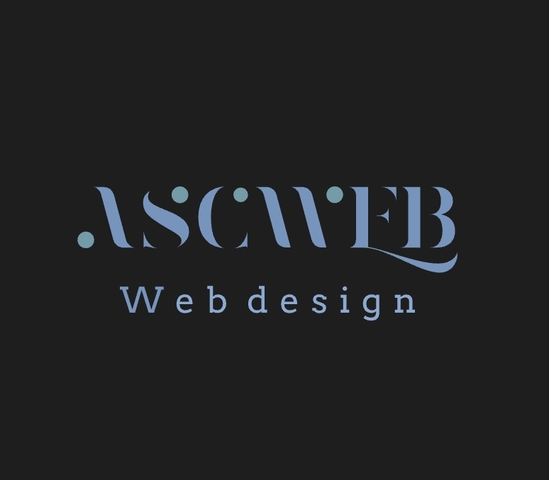 تیم برنامه نویسی صلاحی