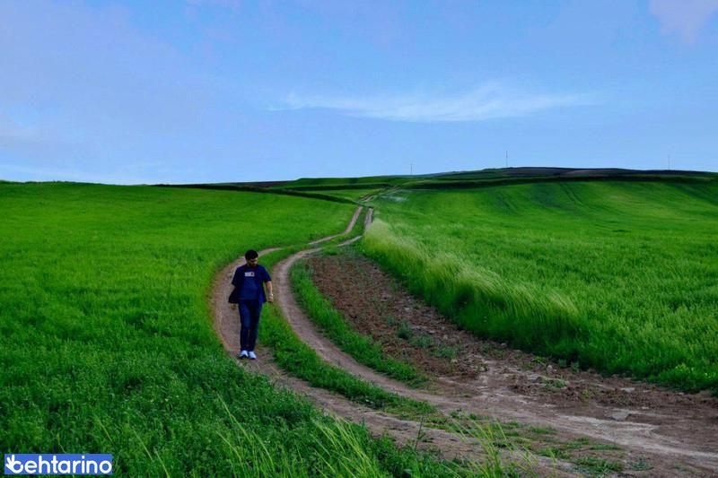 روستای حیدرلو