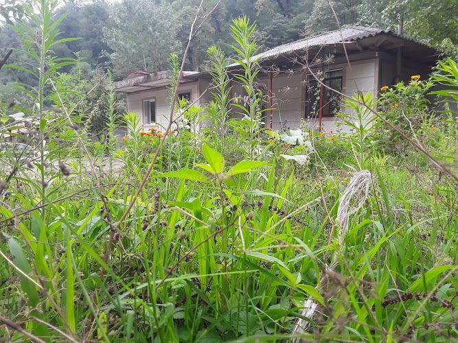 ویلا و سوئیت فرشاد