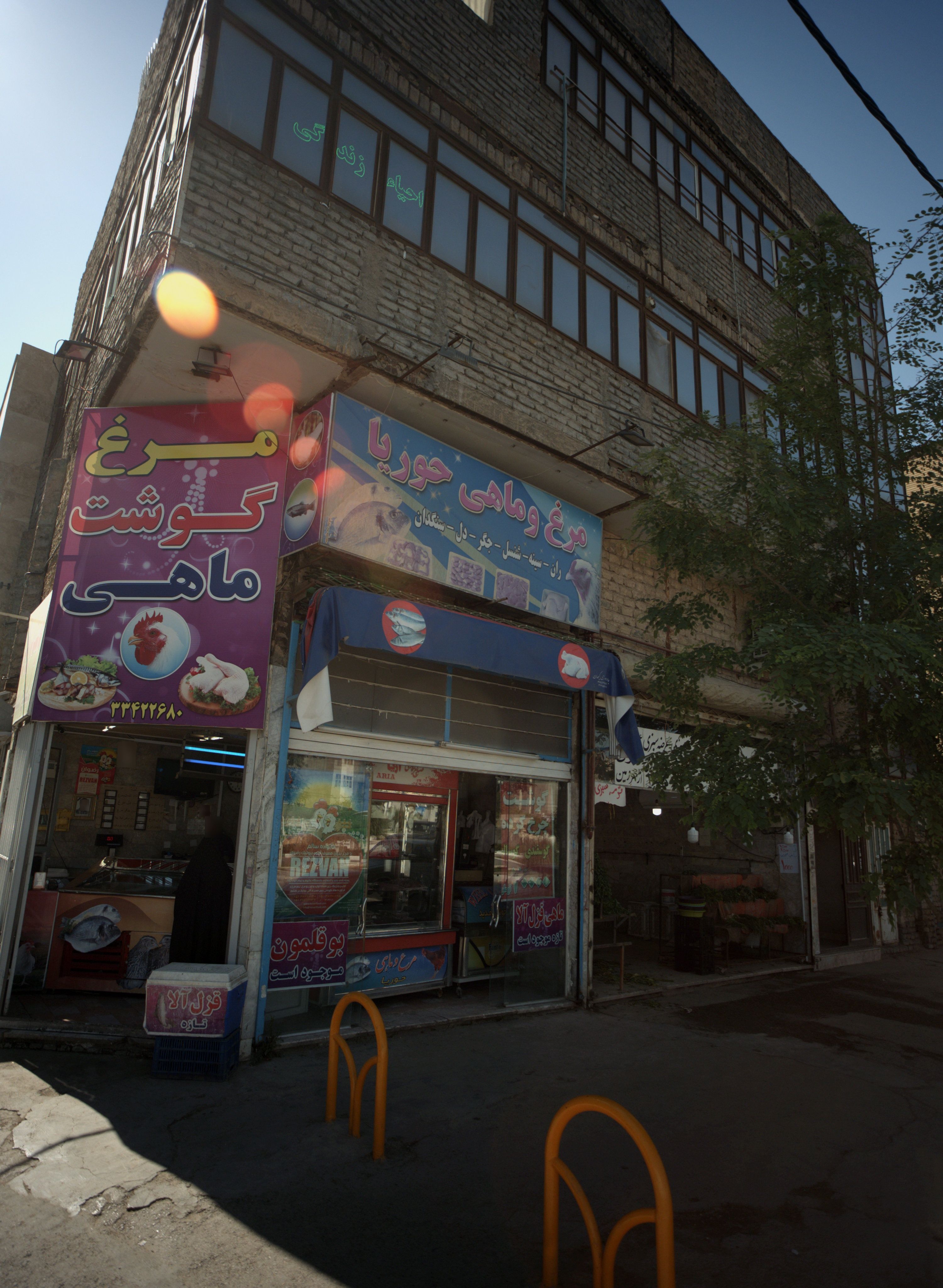 مرغ و ماهی حوریا