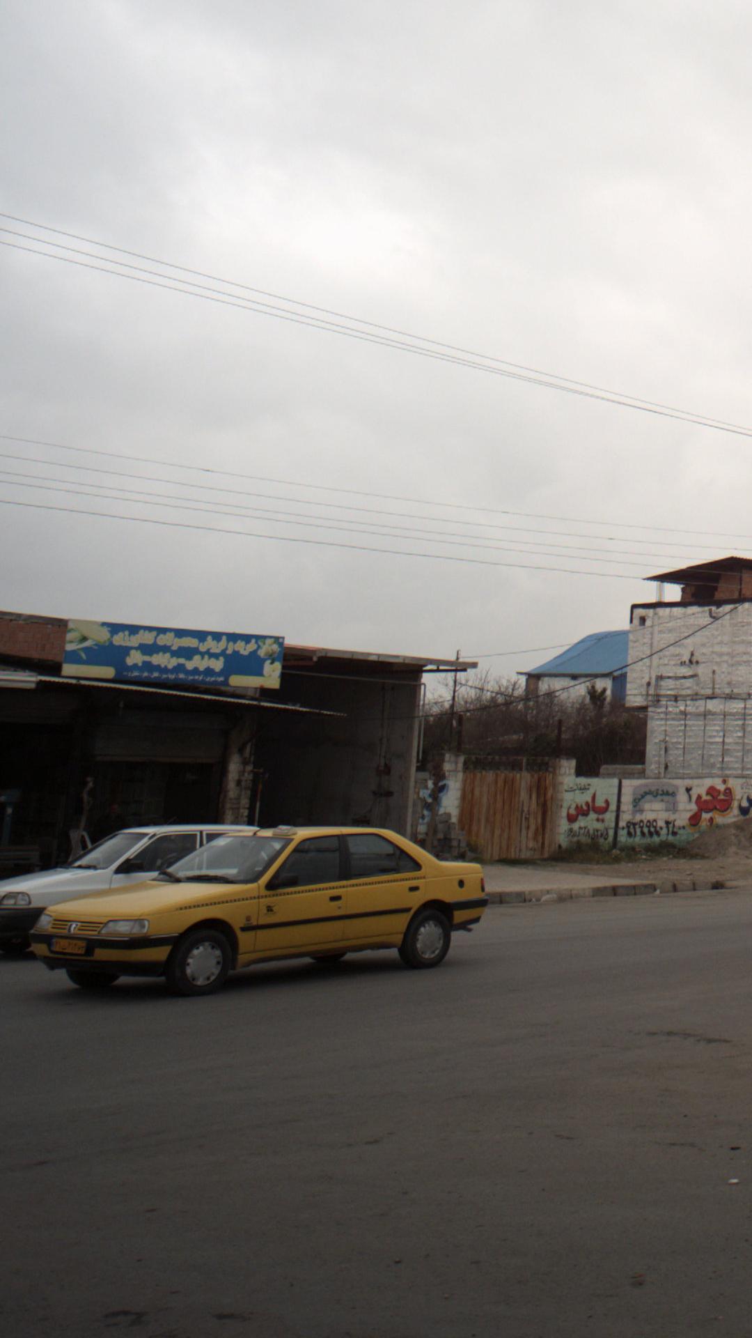 میوه سرای مجید