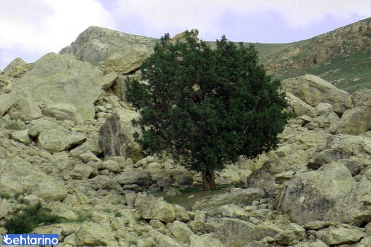 پارک ملی خبر