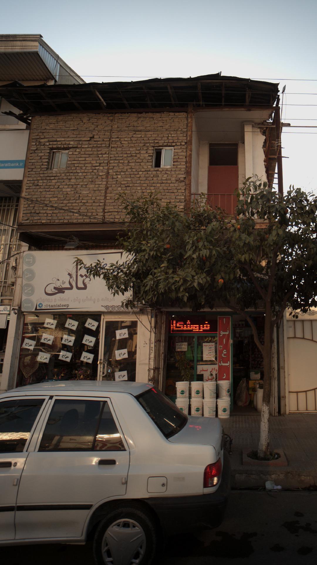 تانی
