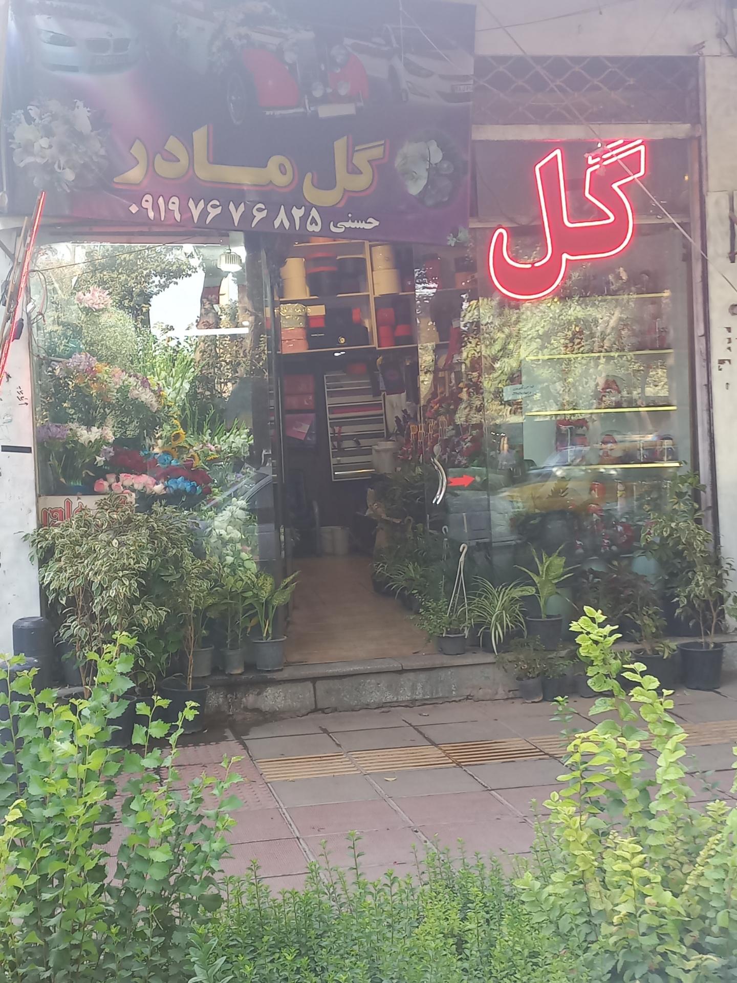 شهر گل