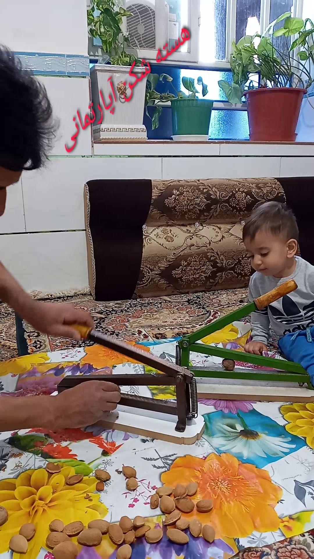 گردوشکن بادام شکن هسته شکن دستی آپارتمان