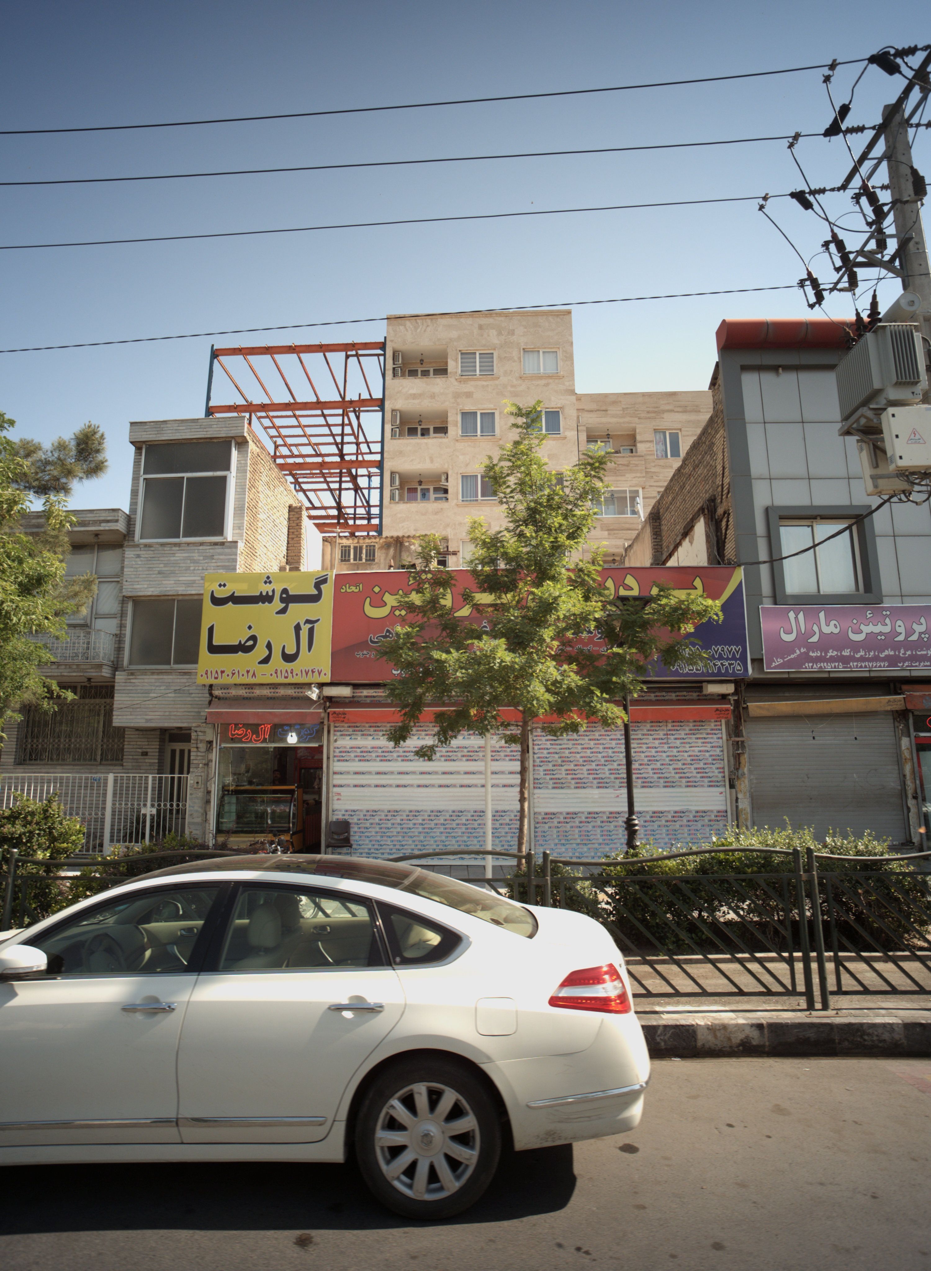 پروتئین مارال