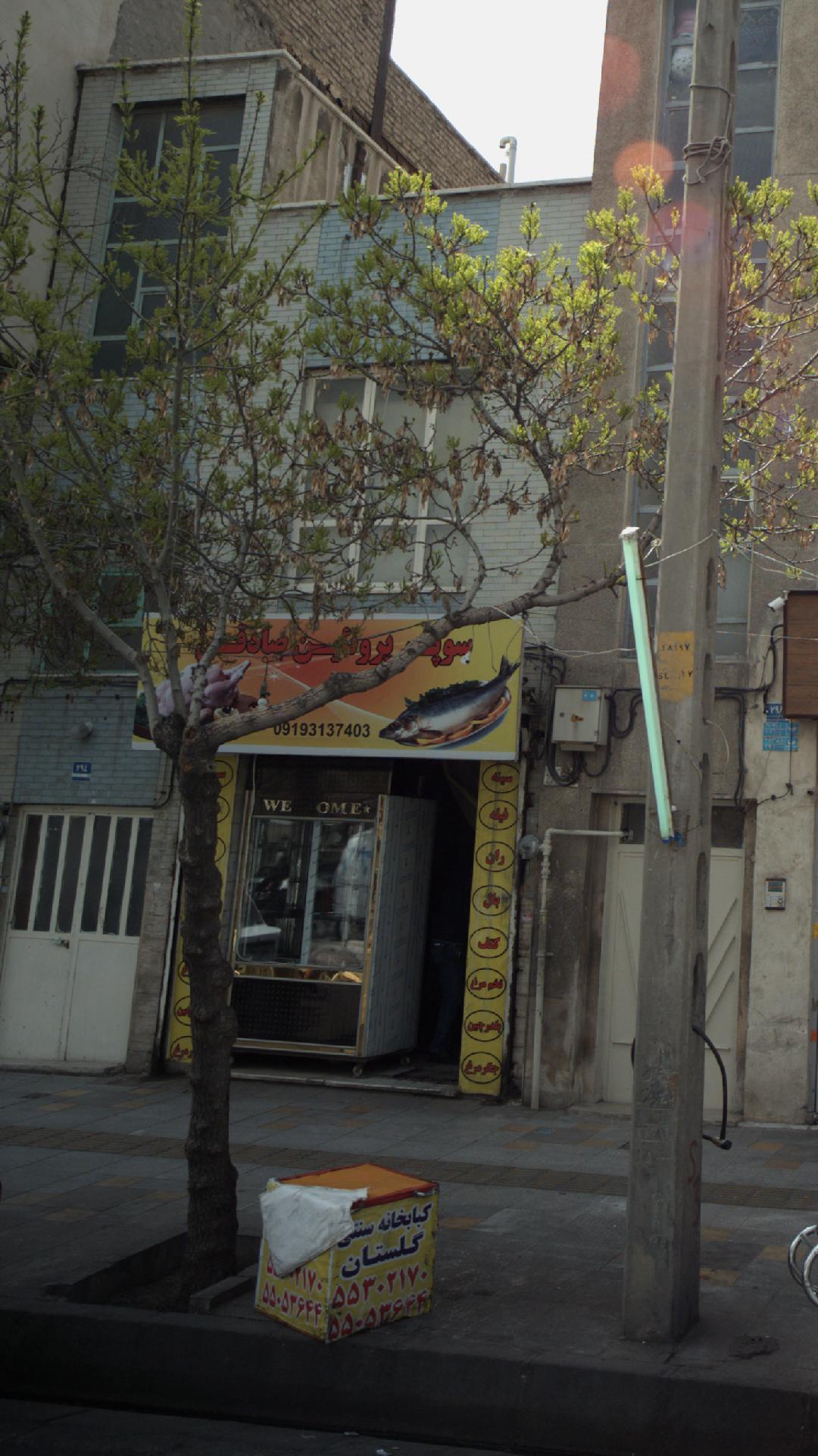 سوپر پروتئین صادقی