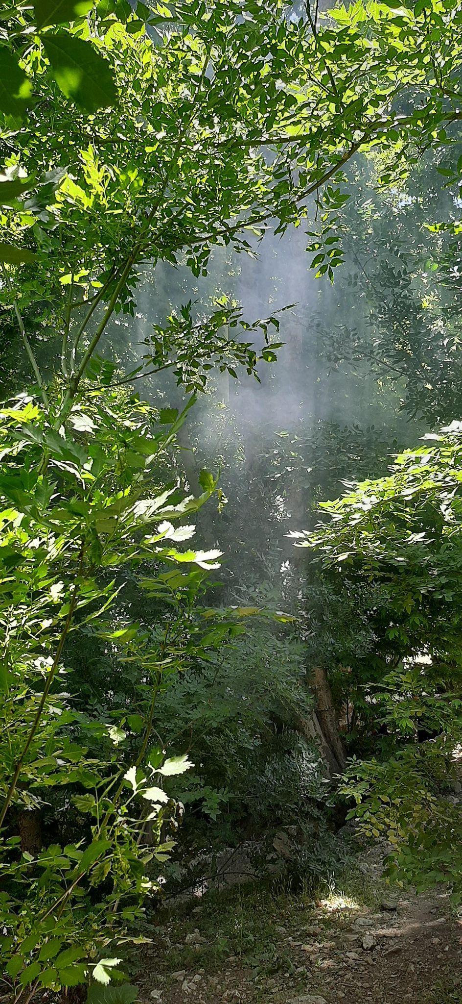 تفرجگاه انجیر زاو