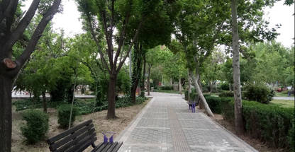 بوستان گلزار