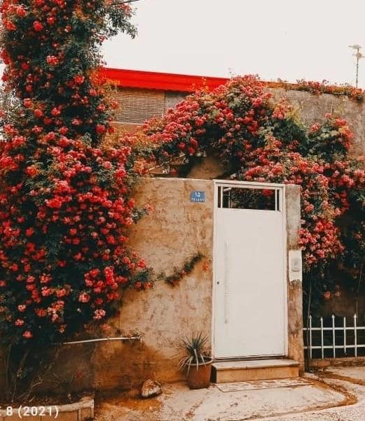 سوئیت کلاله
