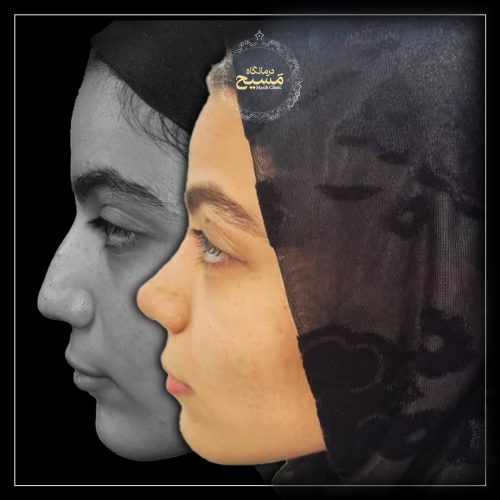 کلینیک تخصصی جراحی زیبایی ایران‌زمین