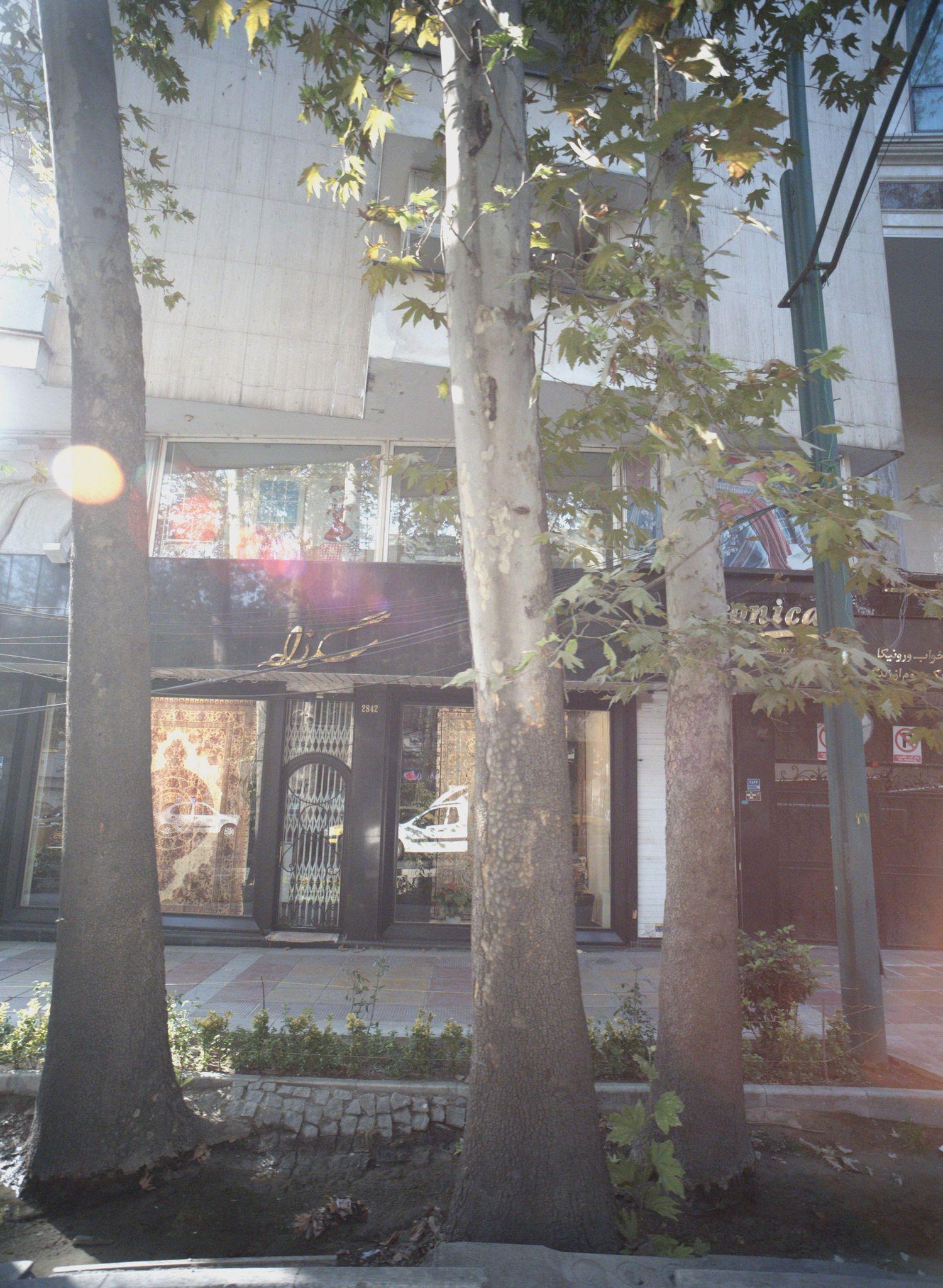 فرش مسگرزاده