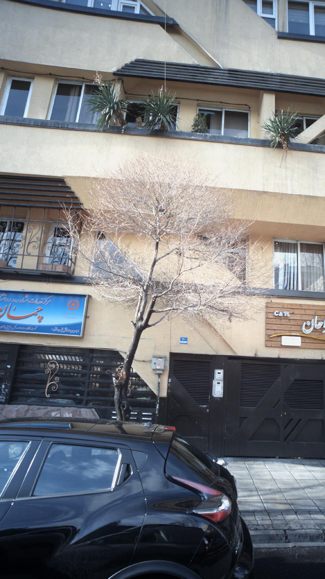 مرکز مشاوره و روانشناسی چمان