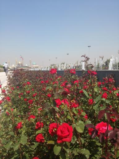 آبنمای بهشت زهرا