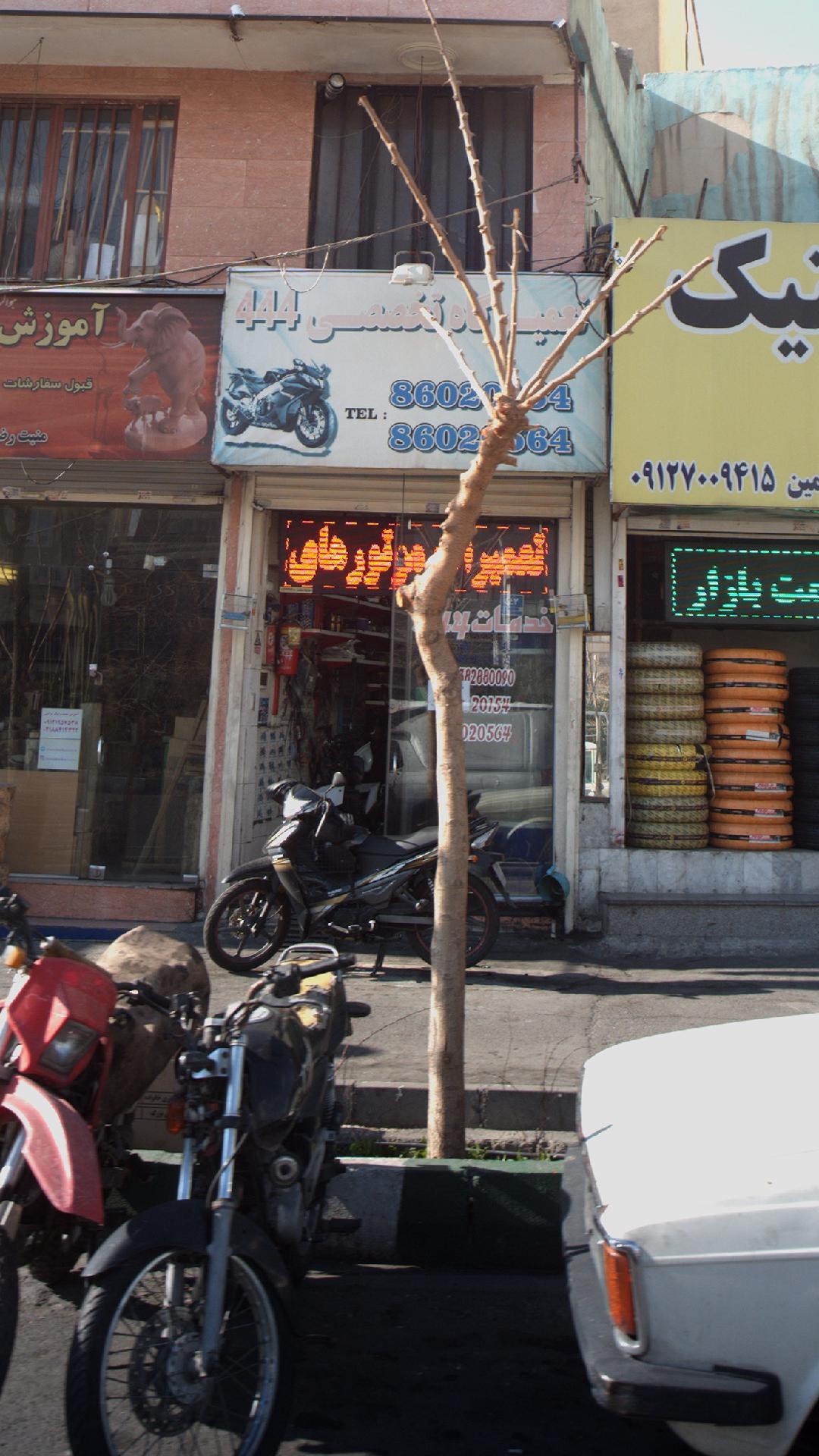 تعمیر گاه تخصصی 444
