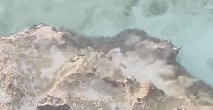 آتلیه تئو استودیو(عروسی،فرمالیته،عمارت)