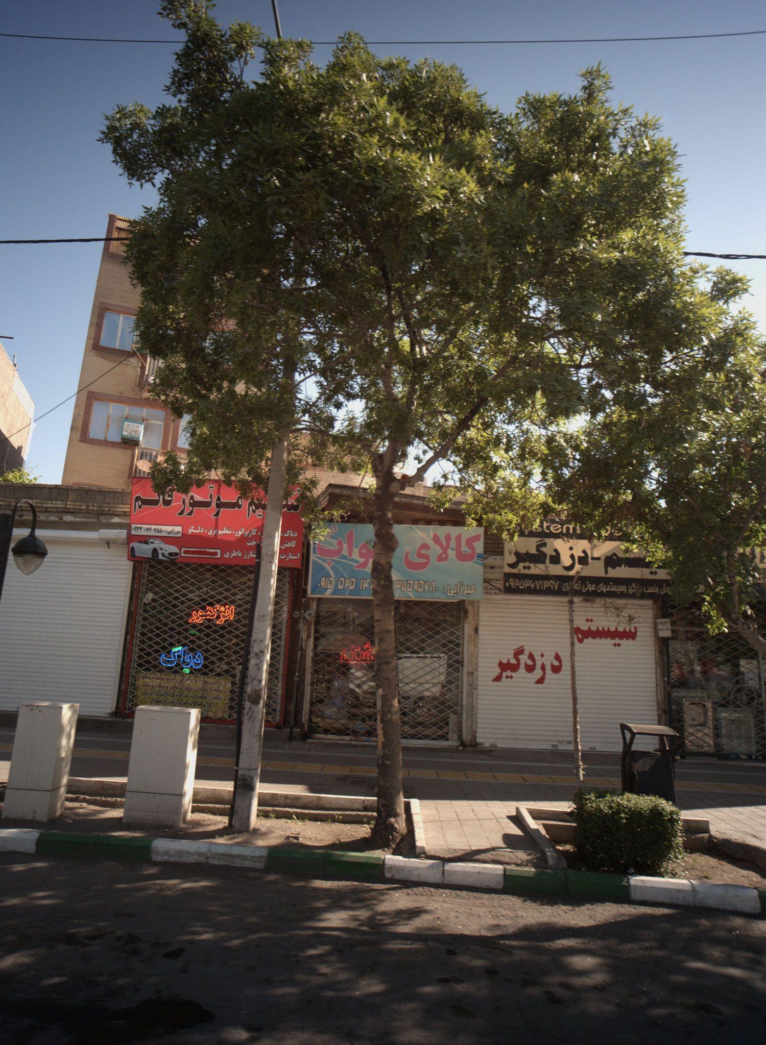 سیستم دزدگیر