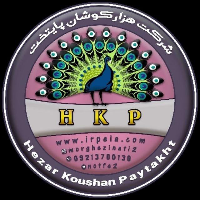 مزرعه تولید تخم مرغ نطفه دار و جوجه