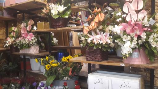 گلفروشی گلسرخ