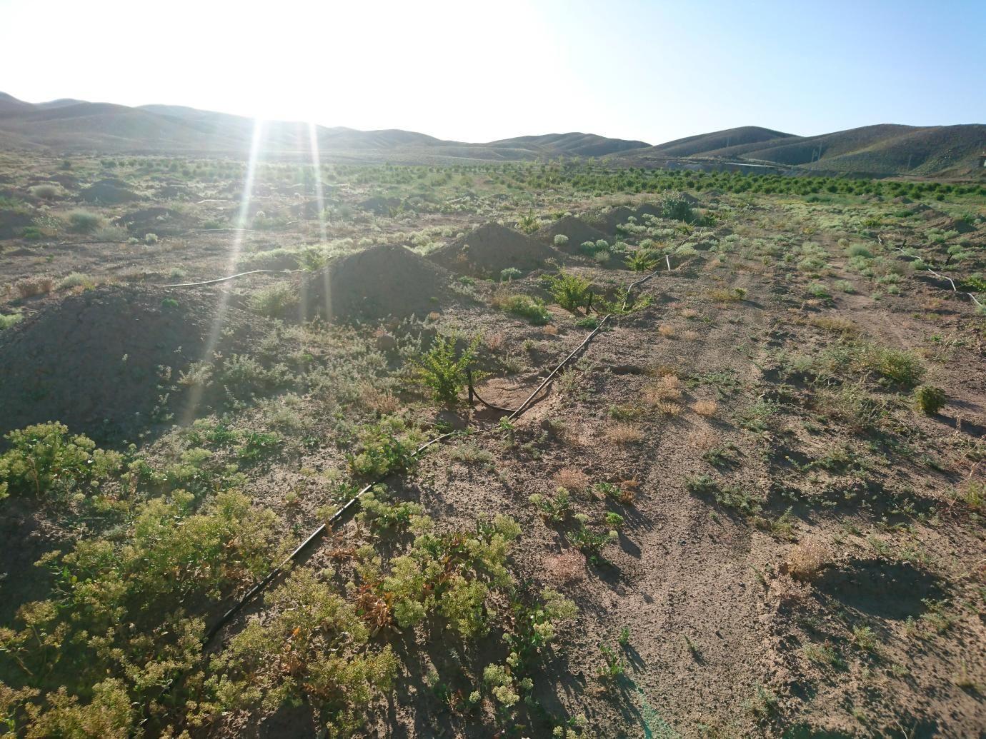 روستای دولت آباد خزاعی