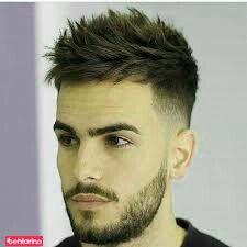 پیرایش توسکا