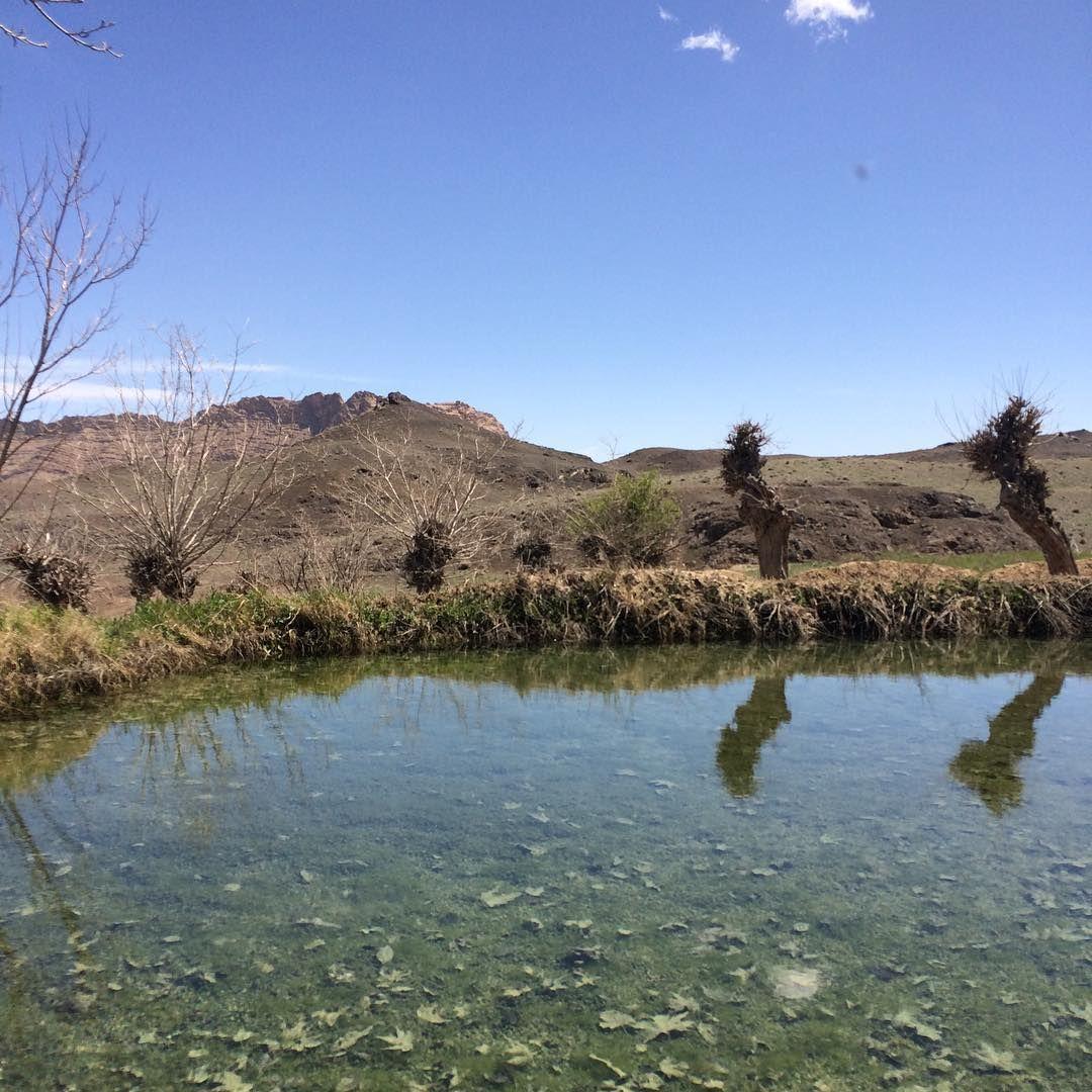 دکتر فرشته طیبی