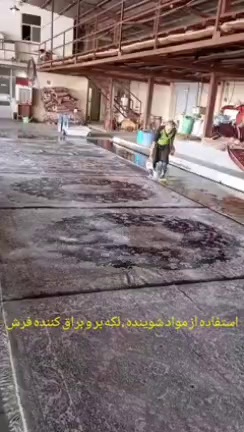 قالیشویی ممتاز مقدم