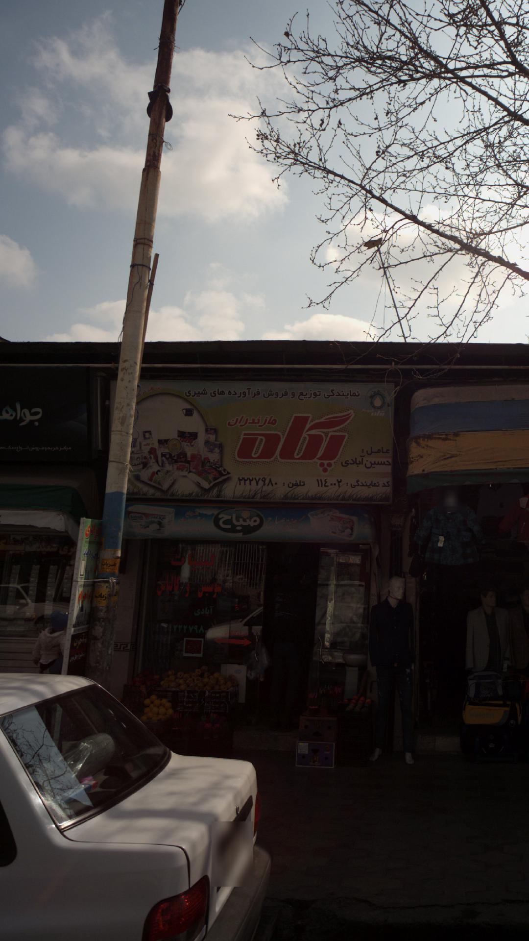 نمایندگی توزیع و فروش فرآورده های شیری پگاه