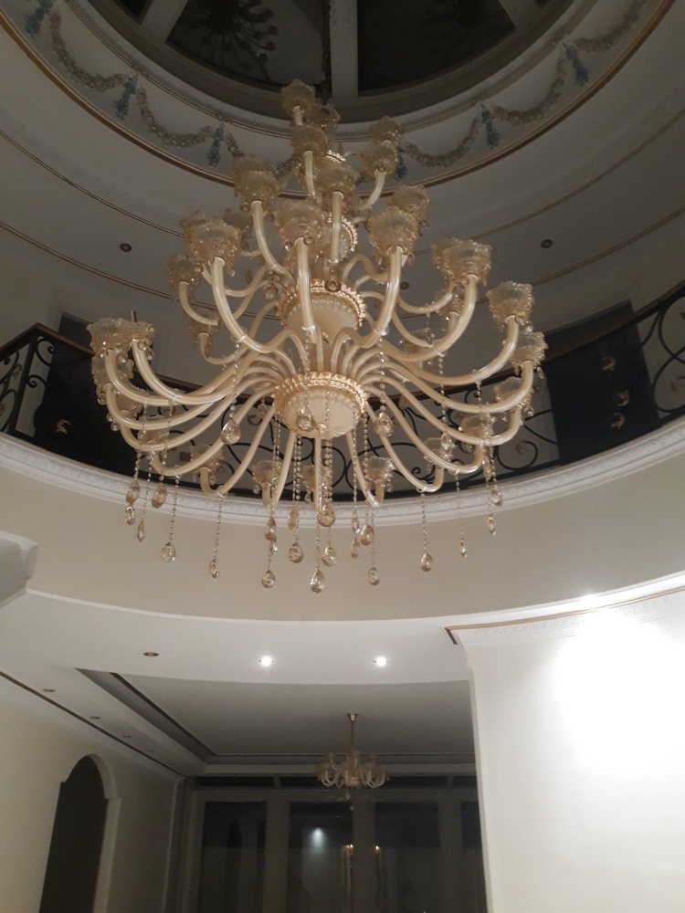 حامد سلیمانی