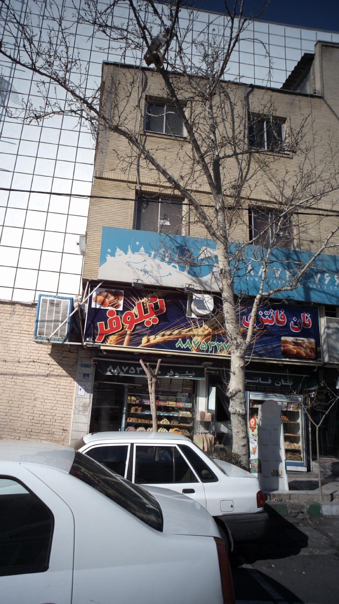 نان فانتزی نیلوفر