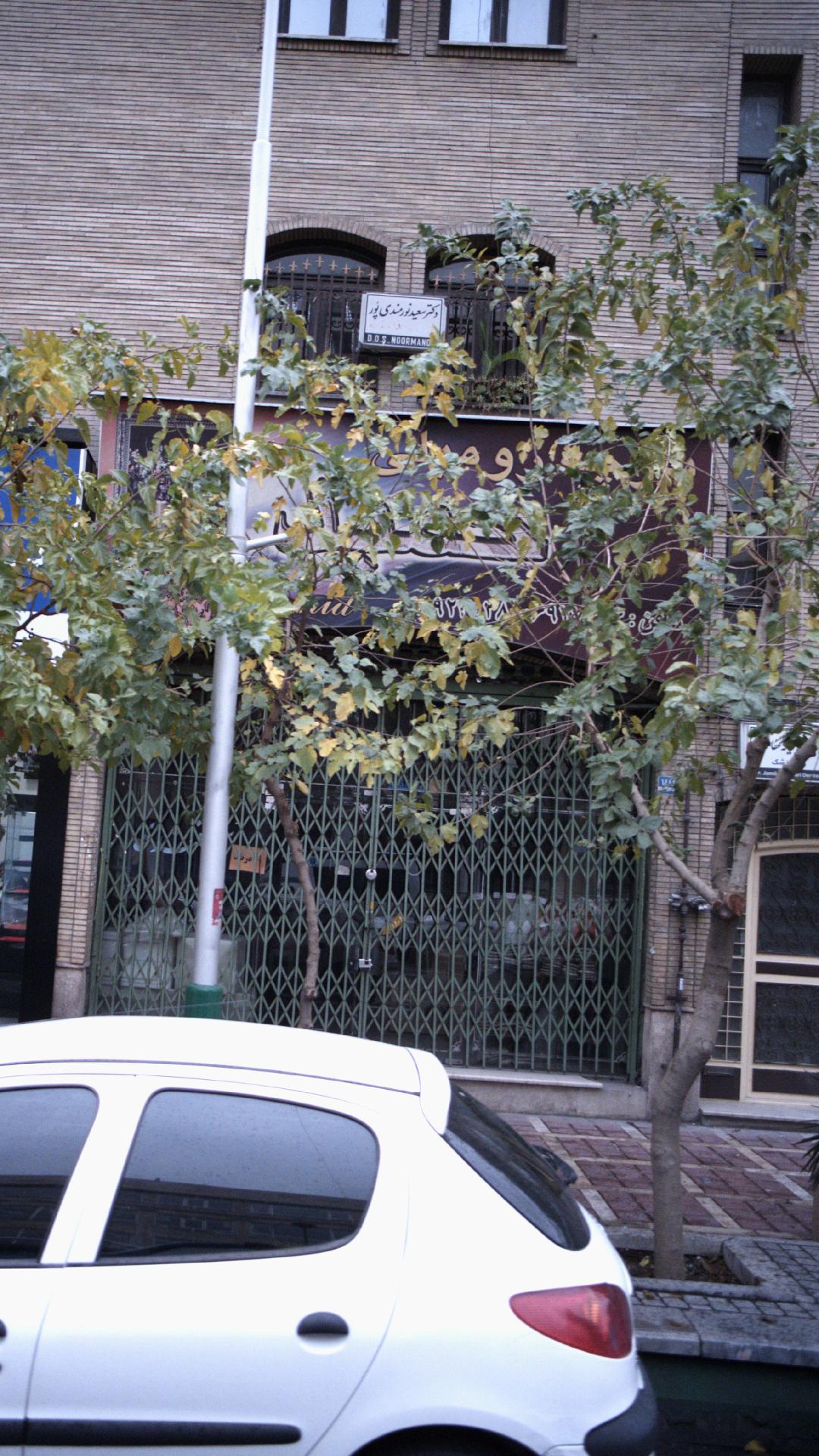 دکترمحمدرضا دانشمندی