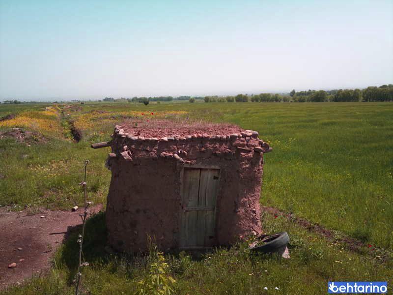 روستای باروق