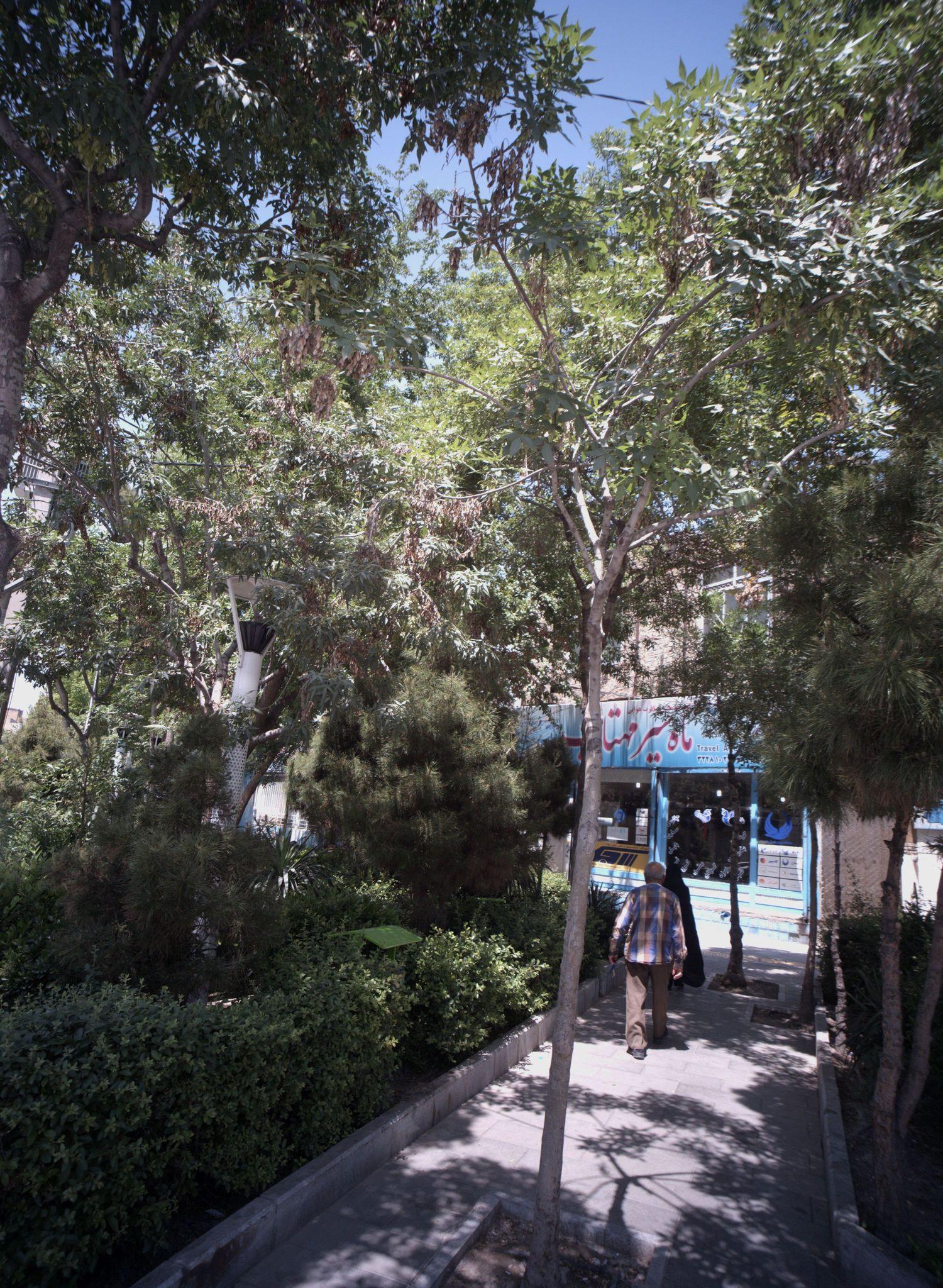 آژانس مسافرتی ماه سیر مهتاب