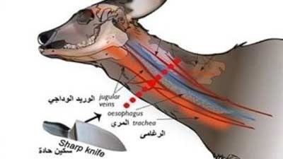 تجهیزات پزشکی و عطاری نوش دارو