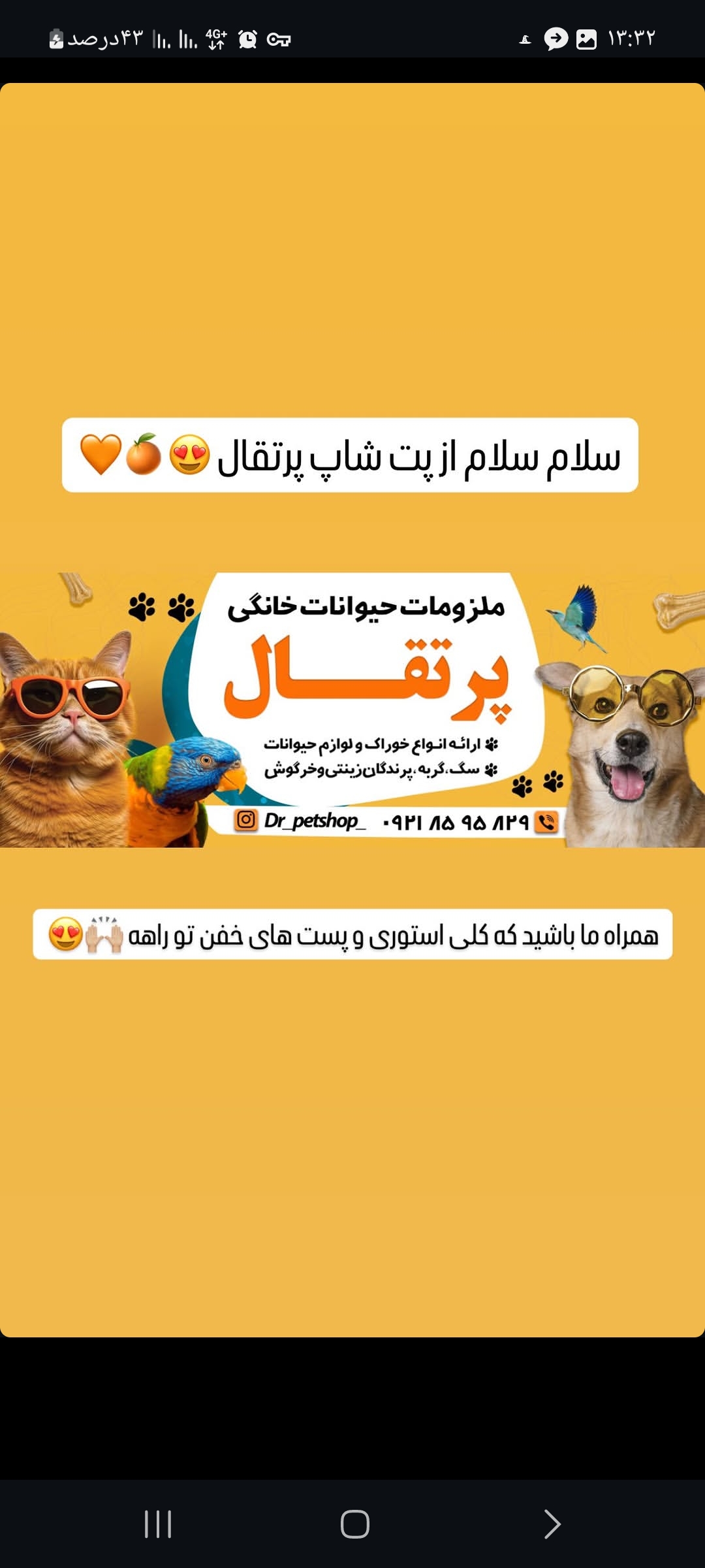 پت شاپ پرتقال