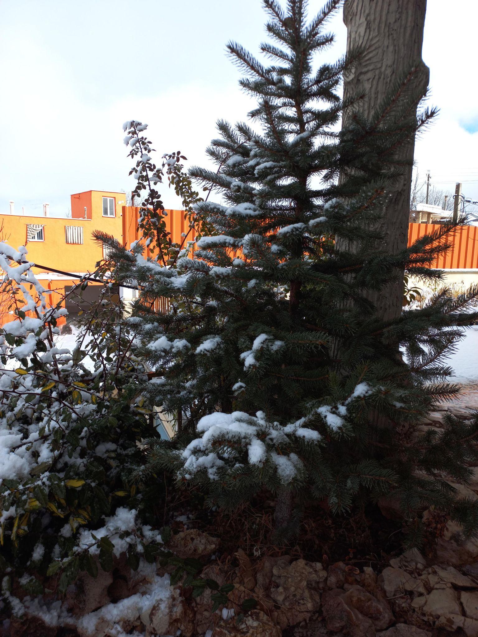 ویلا مهمانسرای مادربزرگ