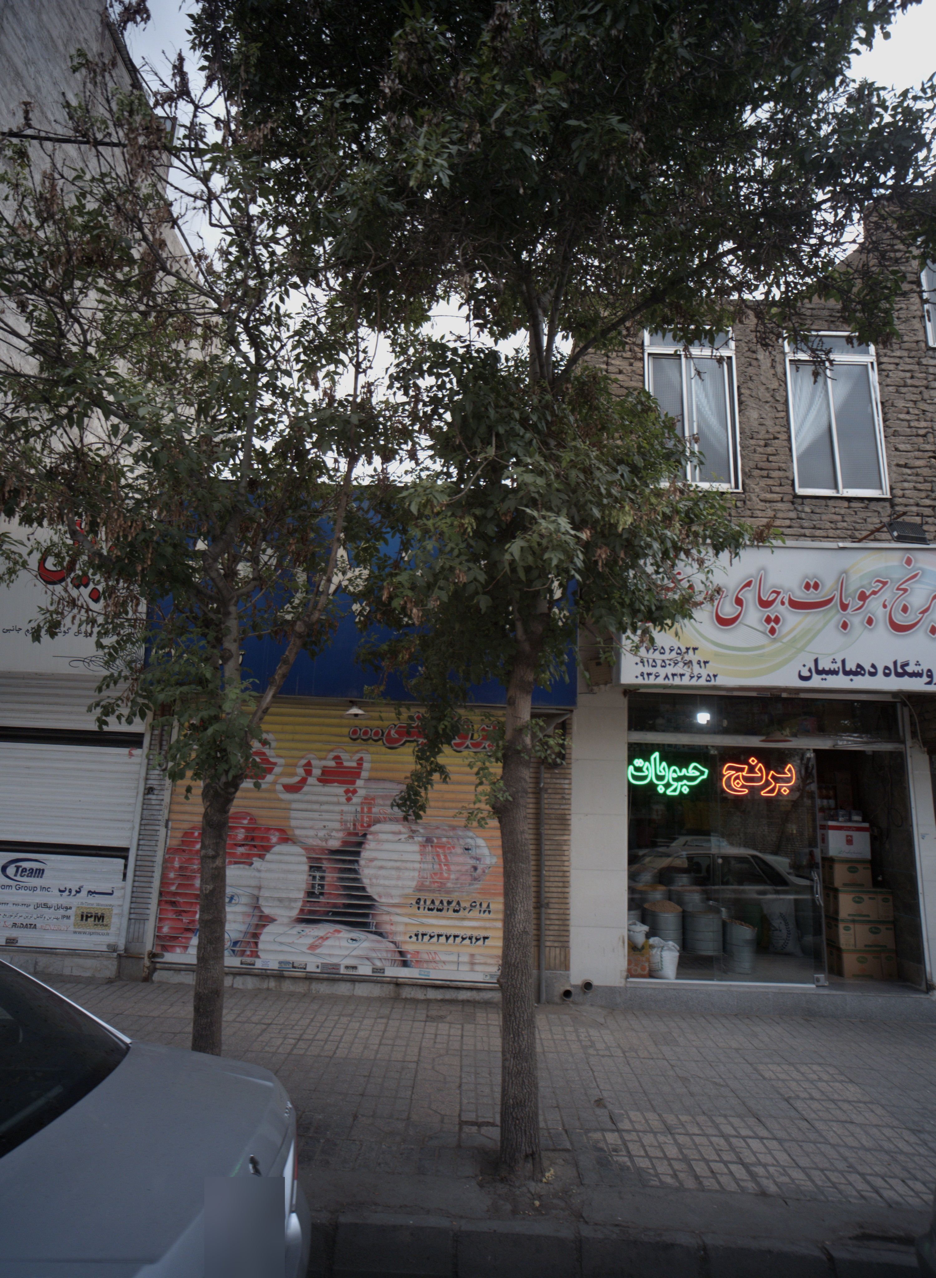 پروتئینی پدرخوب