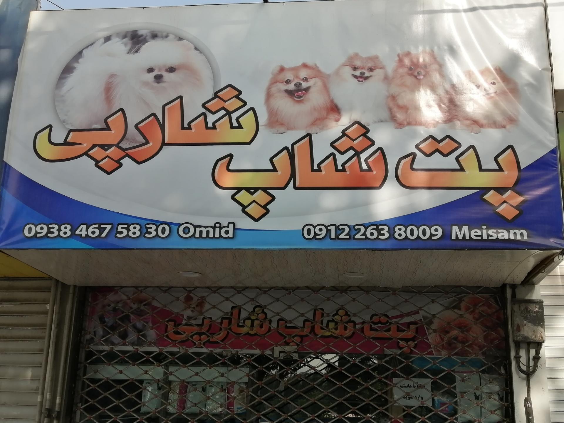 کلبه قناری