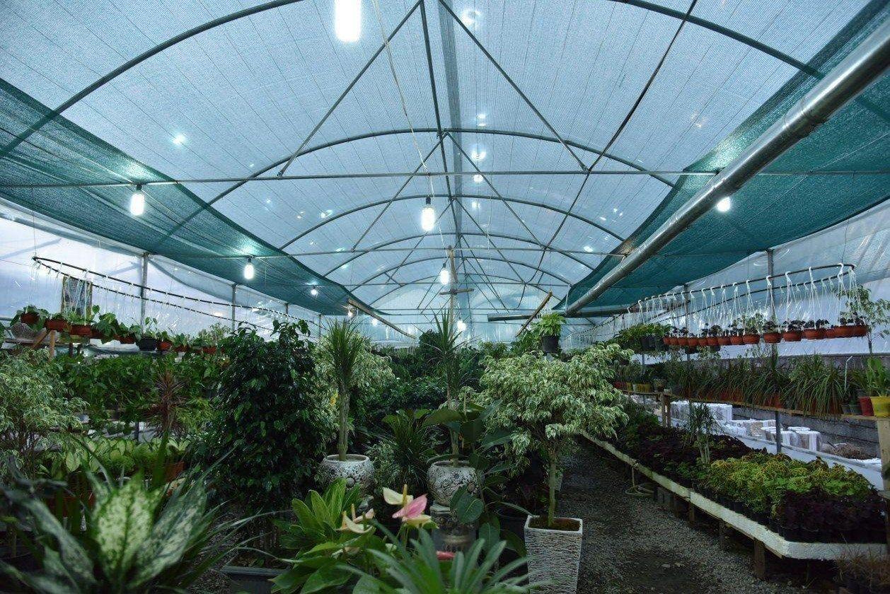 گلخانه همت پور