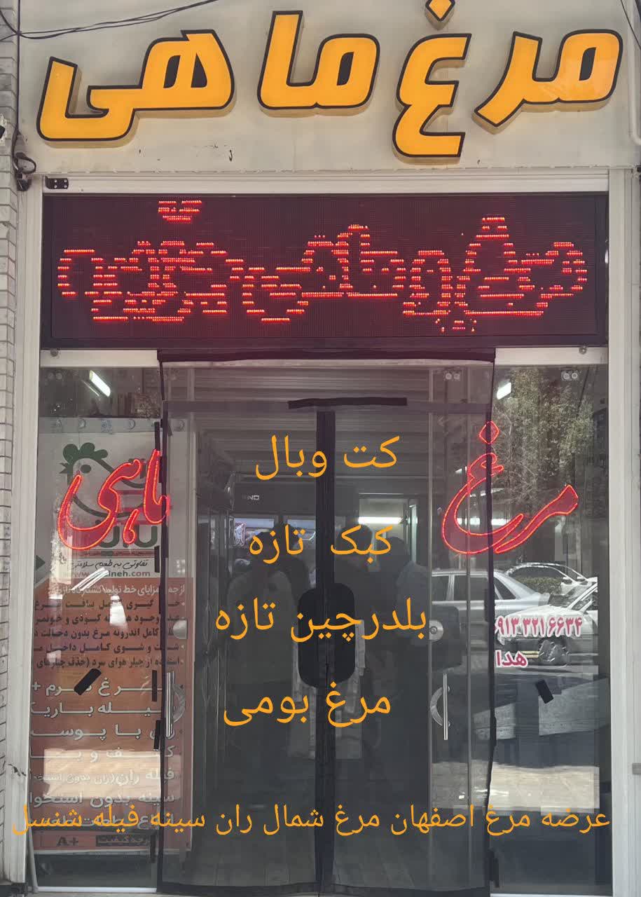 مرغ ماهی