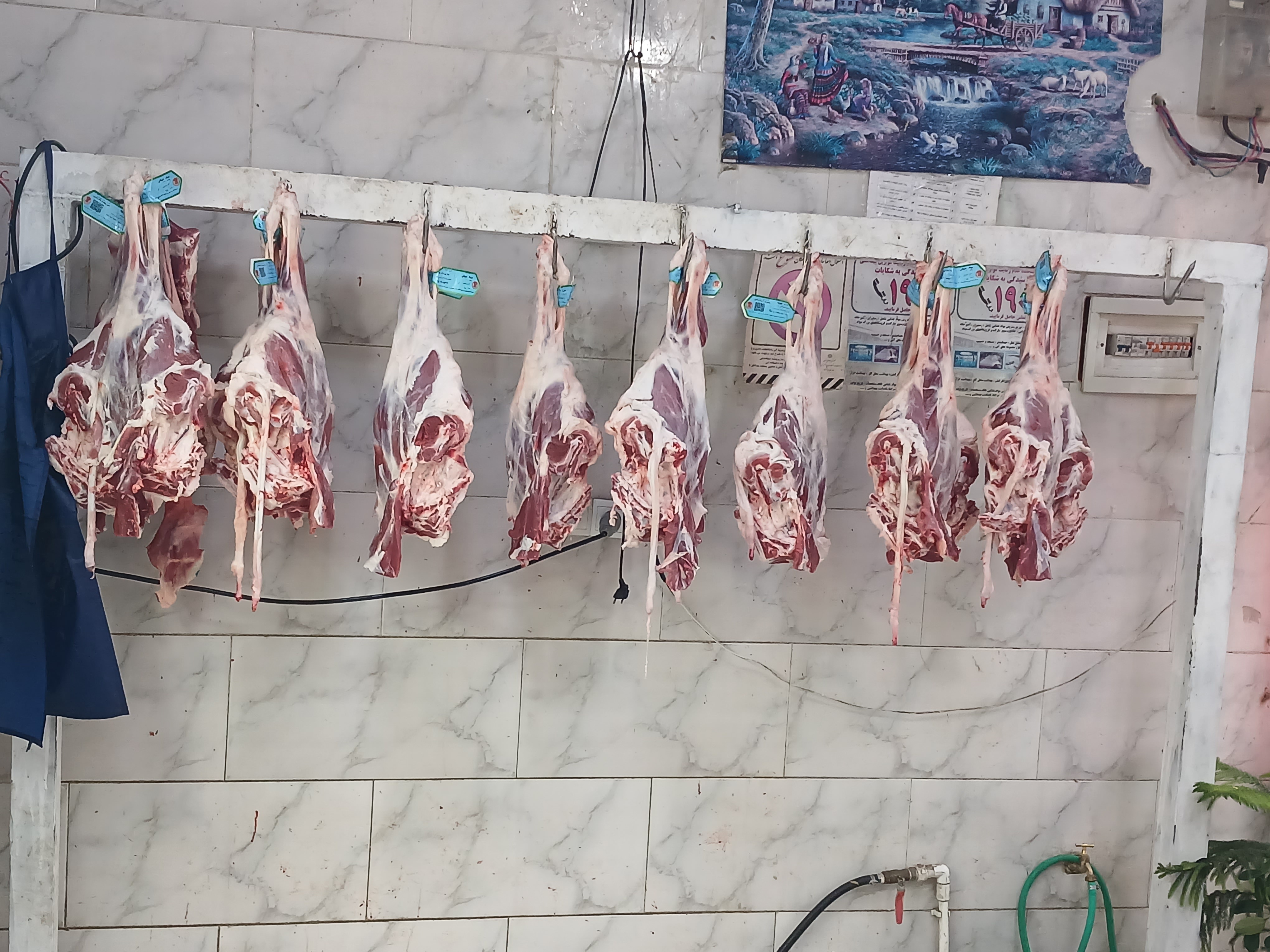 مجتمع گوشت بینالود قمری