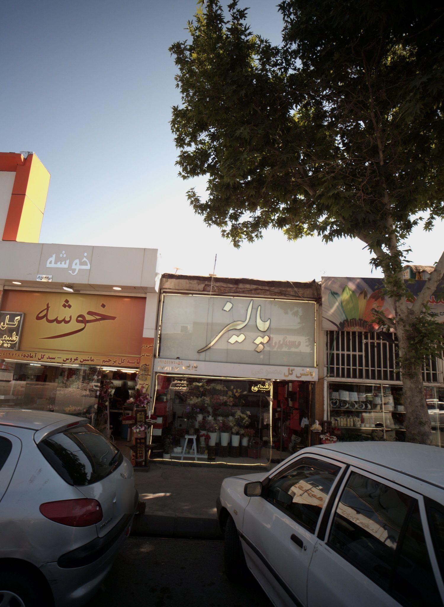 گل فروشی پالیز