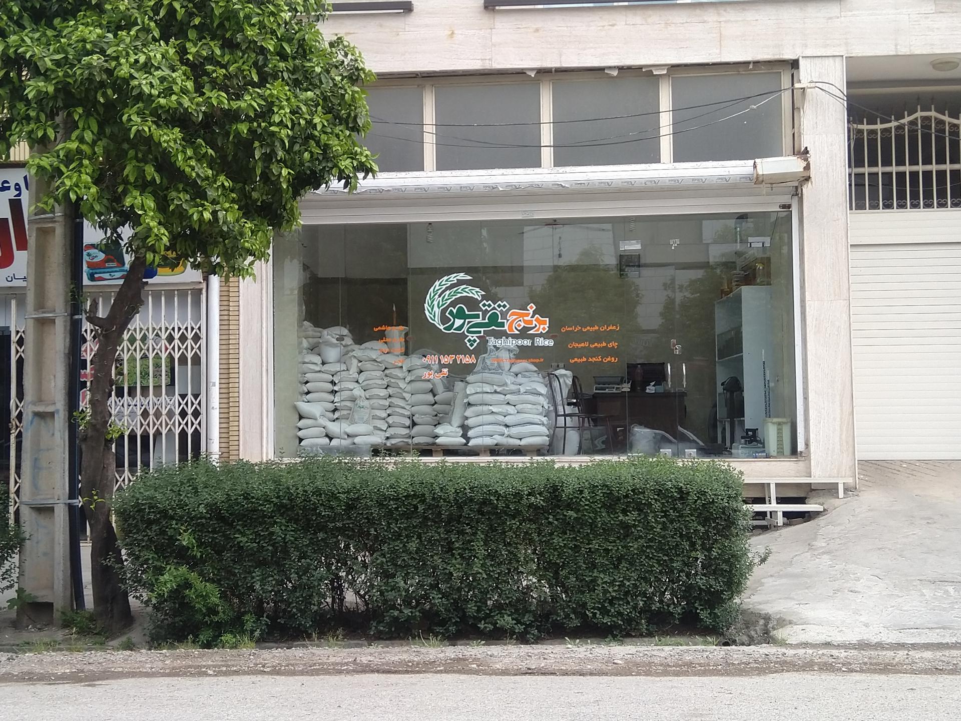 برنج فروشی مسعودی