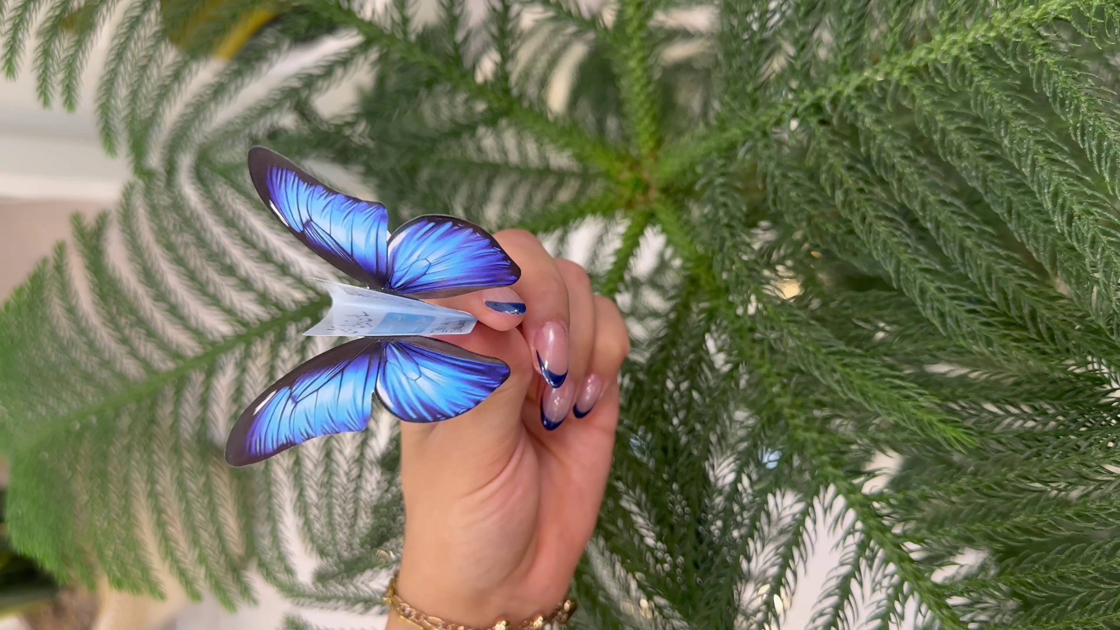 سالن زیبایی آیشن