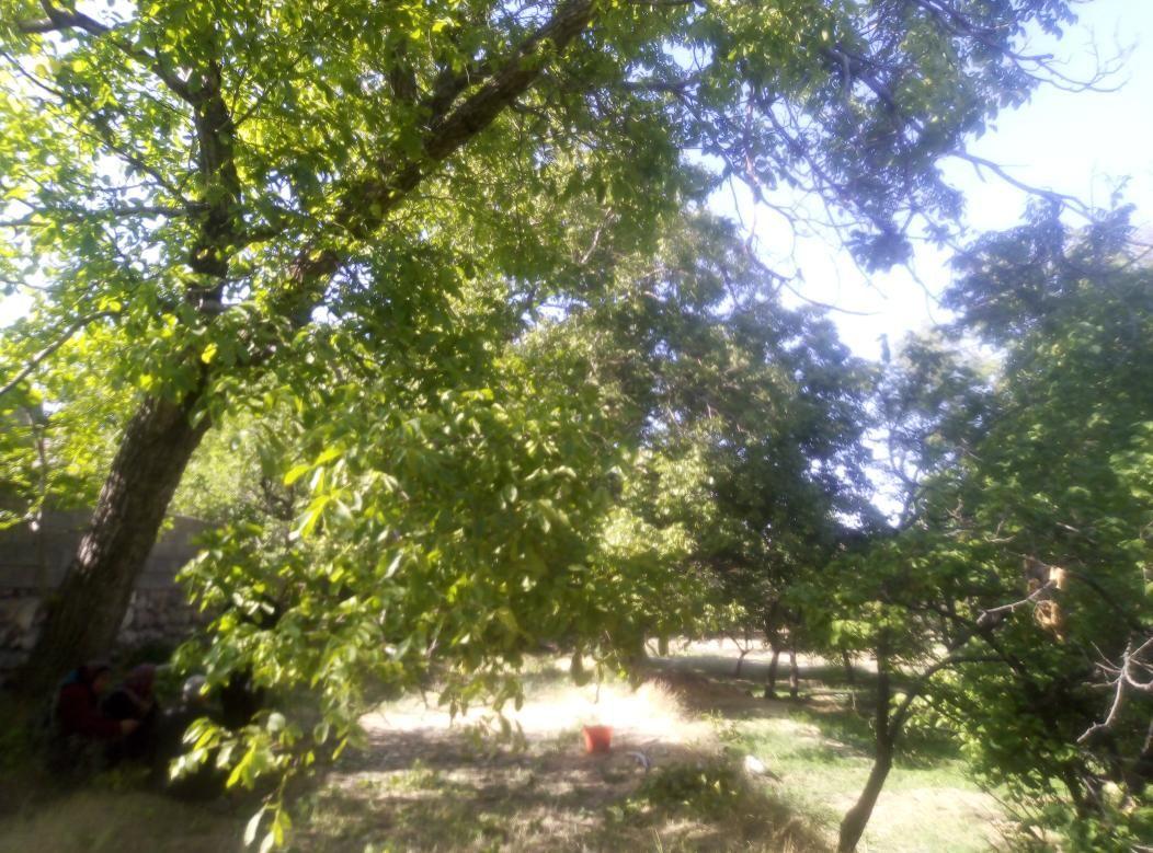 شادآباد مشایخ