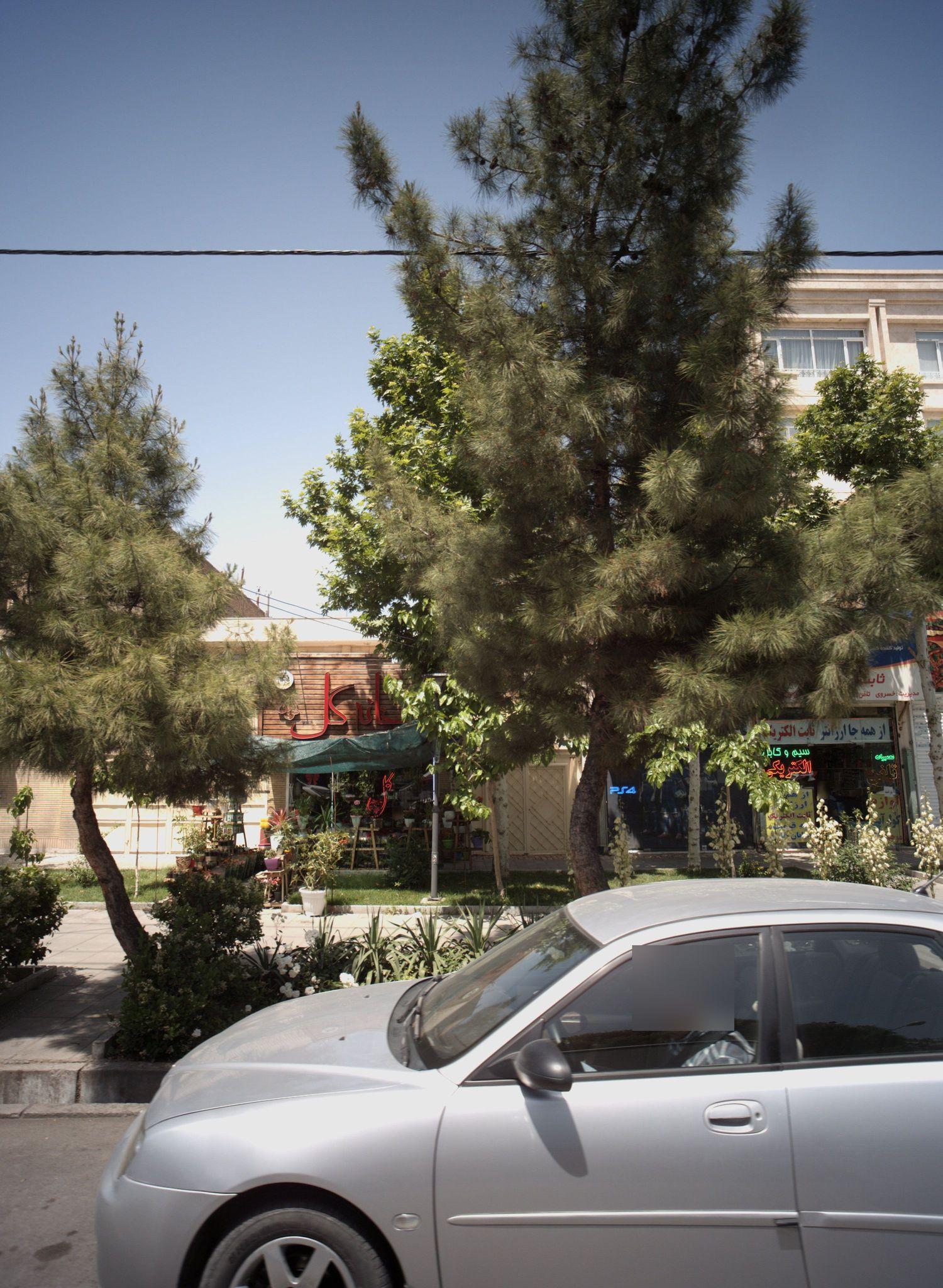 خانه گل نوین