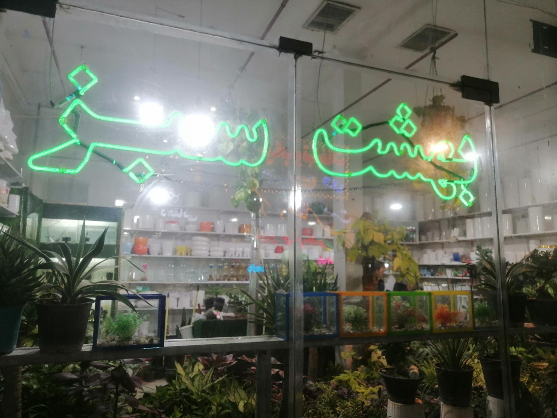 گل پرنس