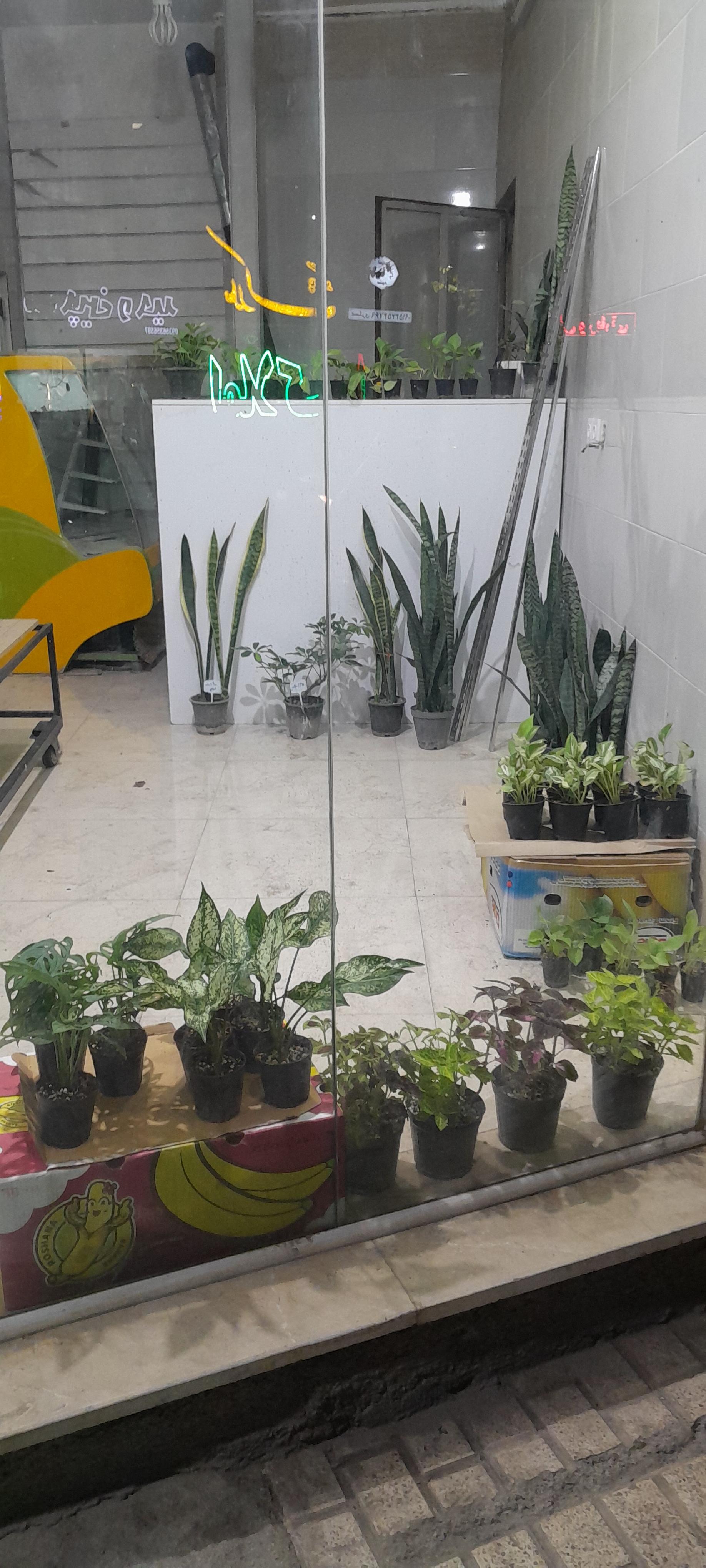 گلسرای شکیل